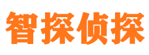 东海岛外遇调查取证